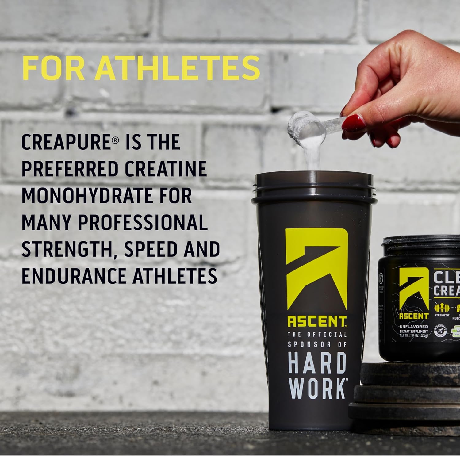 Ascent Clean Creatine Monohydrate Powder - 5G Per Serving, Creapure Creatine Supplement - Unflavored, 45 Servings : Health & Household