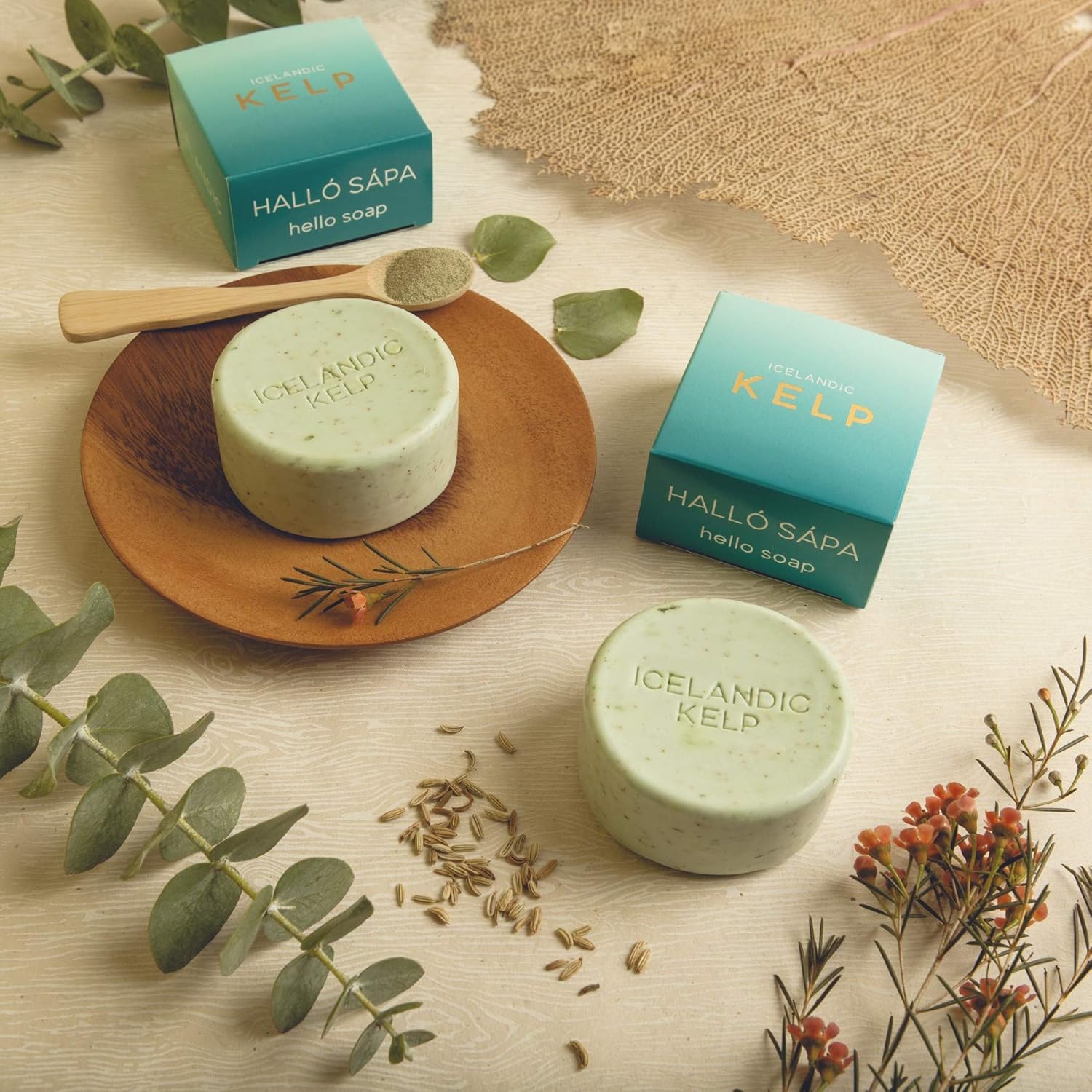 Kalastyle Exfoliating Bars Of Soap From Natural Ingredients, Assorted Scents - Icelandic Kelp And Moss, Set Of 2, 4.3 Ounce Each : Beauty & Personal Care