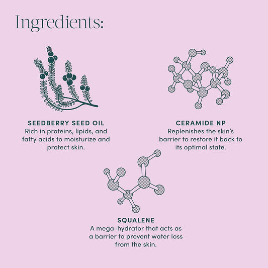 Evereden Protecting Baby Face Cream, 1.7 fl oz | No.2 Silk Cream | Clean and Natural Baby Care | Non-toxic and Fragrance Free | Plant-based and Organic Ingredients