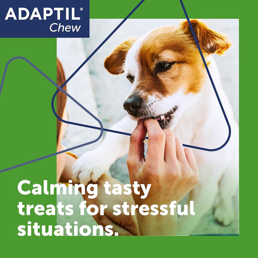 Adaptil Chew Calming Dog Treats | 30 Fast Acting Dog Calming Treats That Help Reduce Stress And Anxiety For Dogs | Tasty Chews Help In Challenging Situations Like Fireworks Thunderstorms And Travel