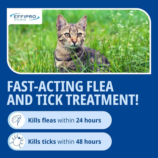 Effipro Flea & Tick Spot-On For Cats | Fast-Acting | 4 Pipettes | Vet-Strength Formula | Easy To Apply | For Cats 1Kg+