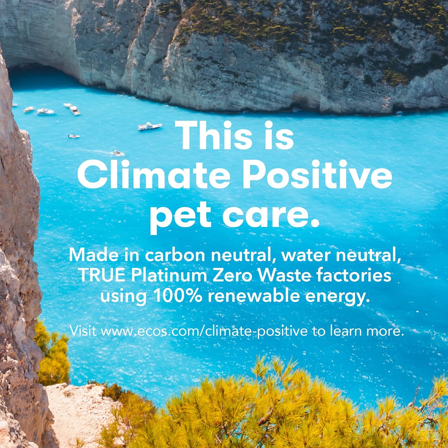 Venus Laboratories Earth Friend Stain/Odor Remover, 128-Ounce : Health & Household