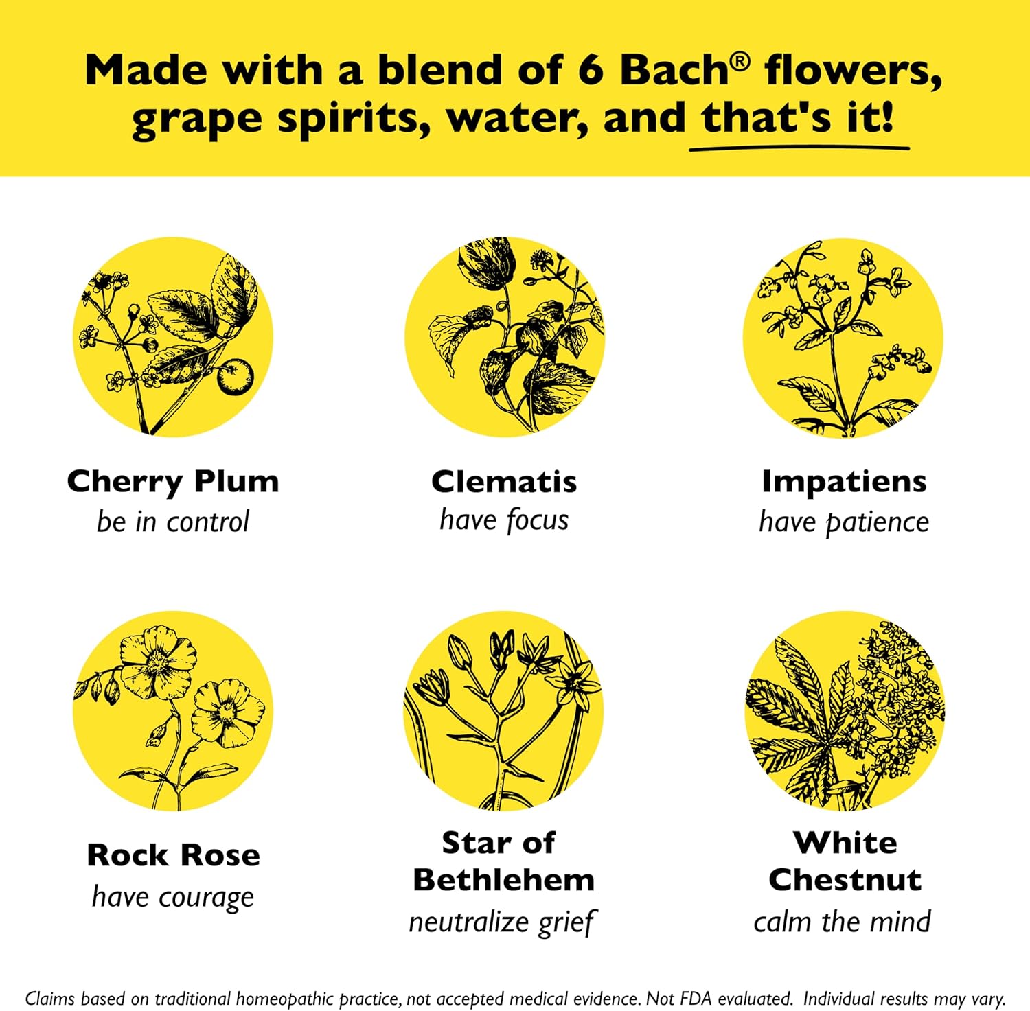 Bach RESCUE SLEEP Spray 20mL, Natural Sleep & Stress Relief Aid, Homeopathic Flower Essence, Vegan, Free of Melatonin, Sugar, and Gluten, Non-Narcotic, Non-Habit Forming : Health & Household