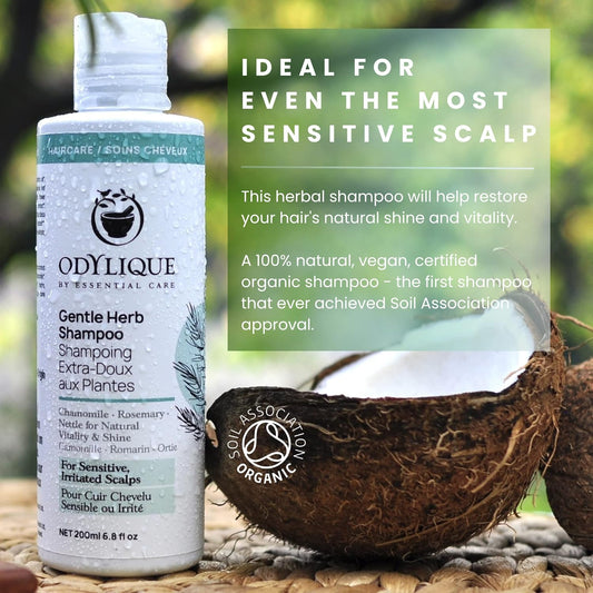 Odylique Gentle Herb Organic & Natural Shampoo 500Ml | Sensitive Scalps | 100% Natural Vegan & Organic | Sls Free & Silicone Free | Salt Free Shampoo