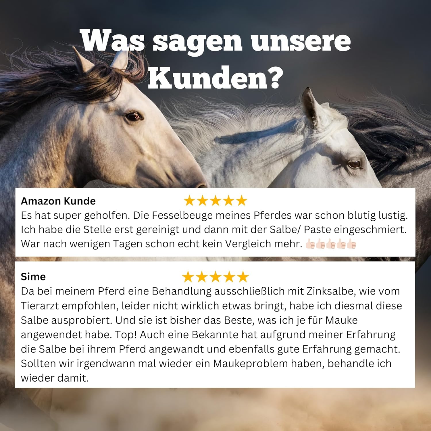 Sensipharm Sensi Horse Cream 300 G - Mauk Ointment For Horses - Skin-Friendly Zinc Ointment Horse With Vitamin D For Horses Against Mauke Horse And Jet Rot Horse Skin-Friendly Pain Free Hoof Care