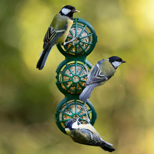 Fat Ball Bird Feeder - Jacobi Jayne® Basketball⢠Window Feeder. Small Easy Clean Suet Ball Holder Cage For Wild Birds Only. Pack Of Two Feeders For Suet Balls. Green Suet Bird FeederBb-2-Twopack