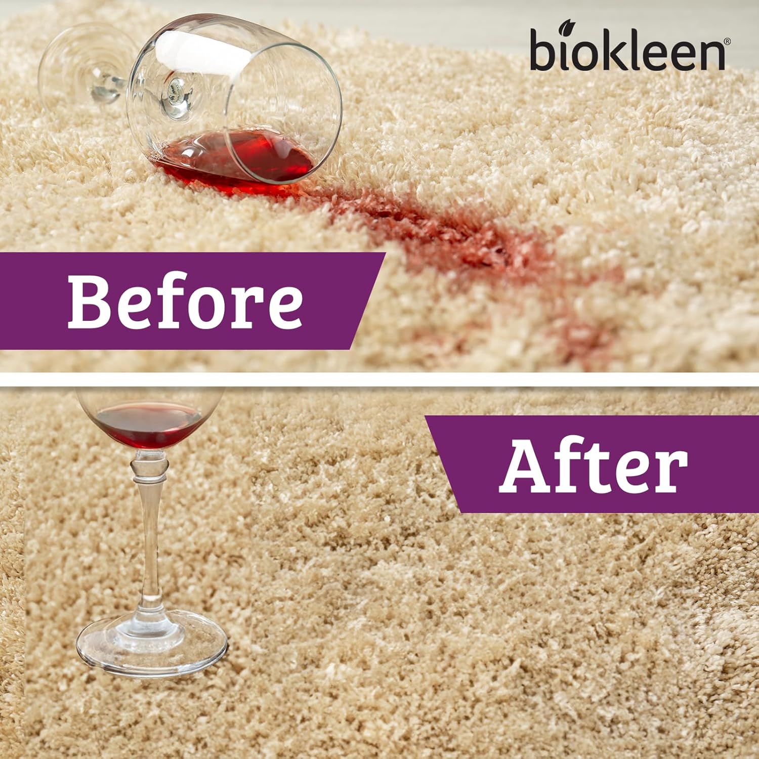 Biokleen Bac-Out Carpet Stain Remover Enzymatic, Destroys Stains & Odors Safely, For Pet Urine, Laundry, Diapers, Wine, Carpets, More, Eco-Friendly, Plant-Based : Health & Household