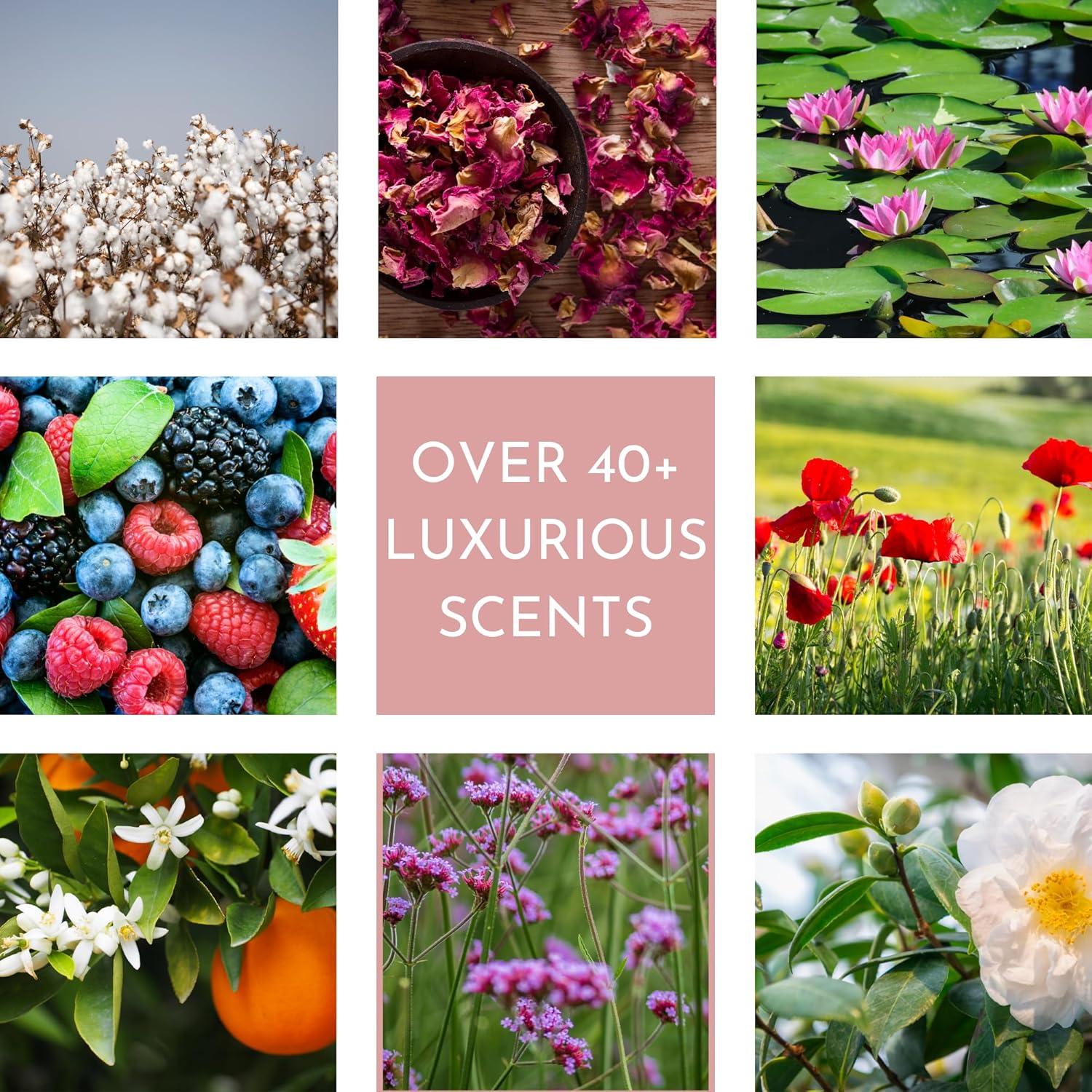 Durance Soft Hand Cream For Women (30ml) With Delicate Water Lily Scent Enriched With Sweet Almond Oil | Women’s Moisturising Cream For All Skin Types : Amazon.co.uk: Beauty