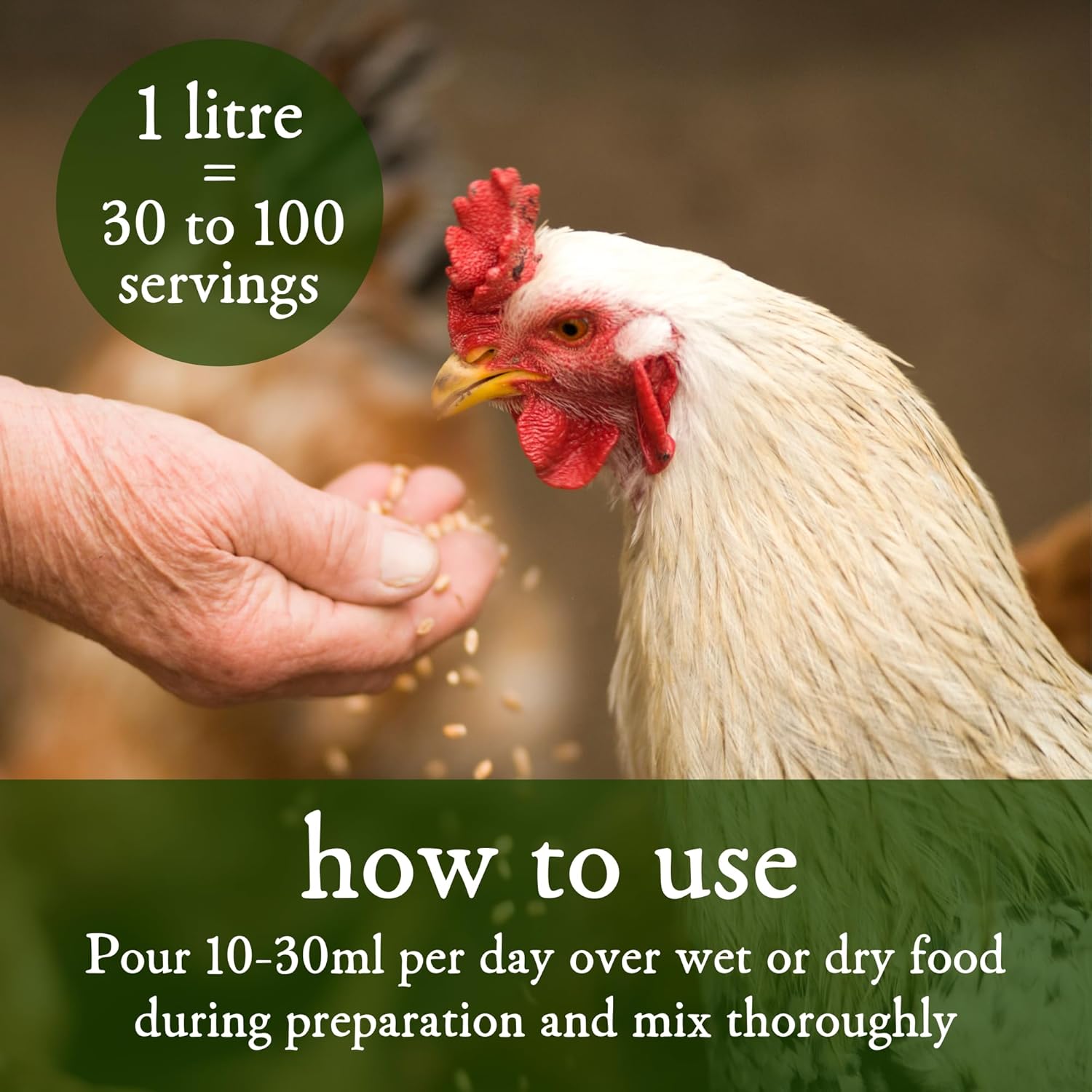 MICROBZ HORSE NUTRITION | 1 Litre | Liquid Beneficial Microbes for Horses & Foals, to Support Equine Digestive Health, Immunity & Performance - 100% Natural : Amazon.co.uk: Pet Supplies