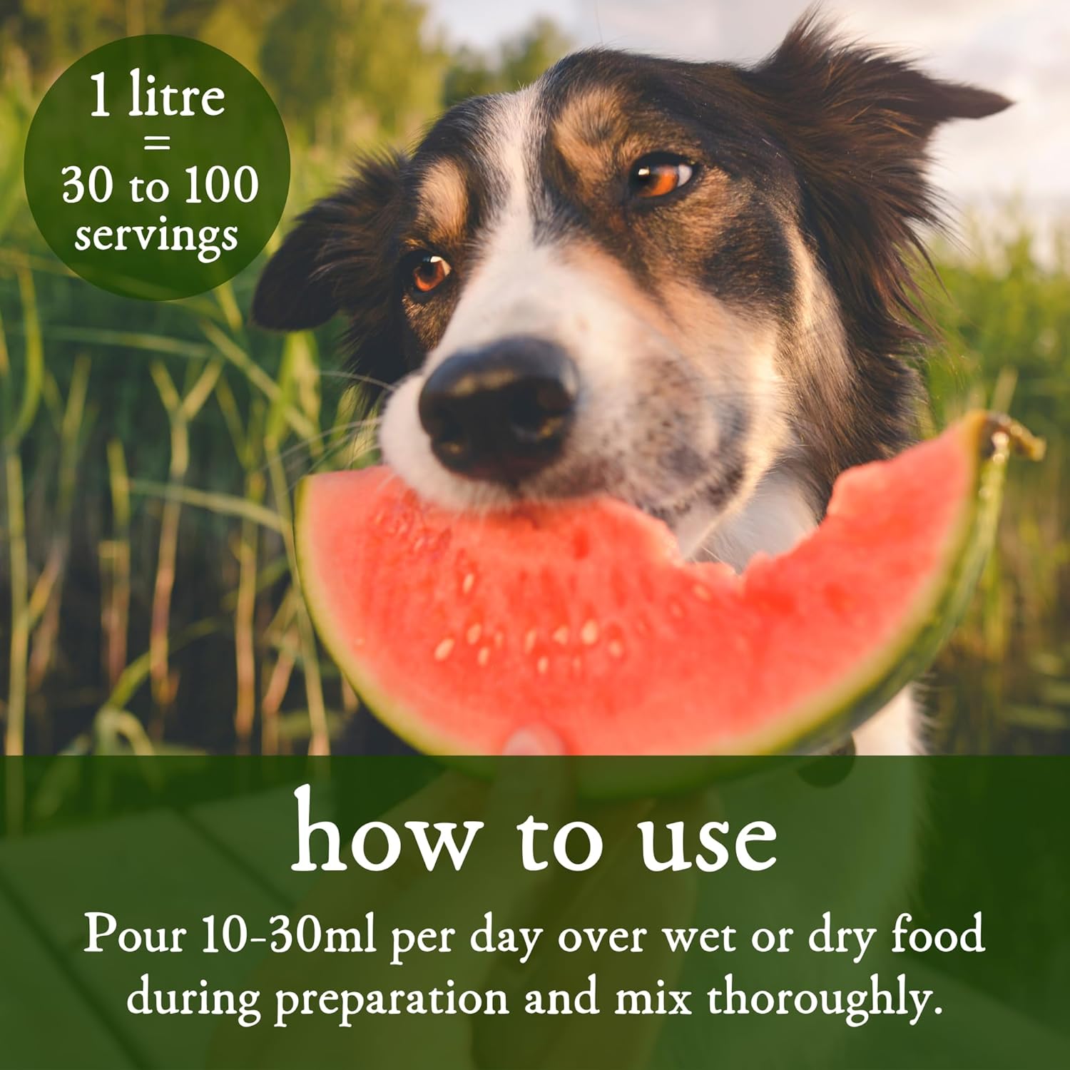 MICROBZ HEALTHY HABITATS | 1 Litre Concentrate Makes 20 Spray Bottles | Odour Eliminator, Natural Freshener for Pets Sleeping & Feeding Areas, Livestock & Animals Environment - Pet & Children Safe : Amazon.co.uk: Pet Supplies
