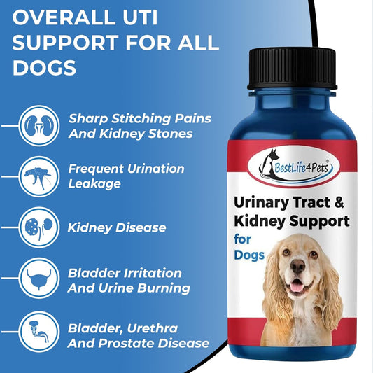 Bestlife4Pets Dog Uti Kidney Support - Natural Urinary Tract Infection Treatment – Renal And Bladder Control Supplement – Easy To Use Pills