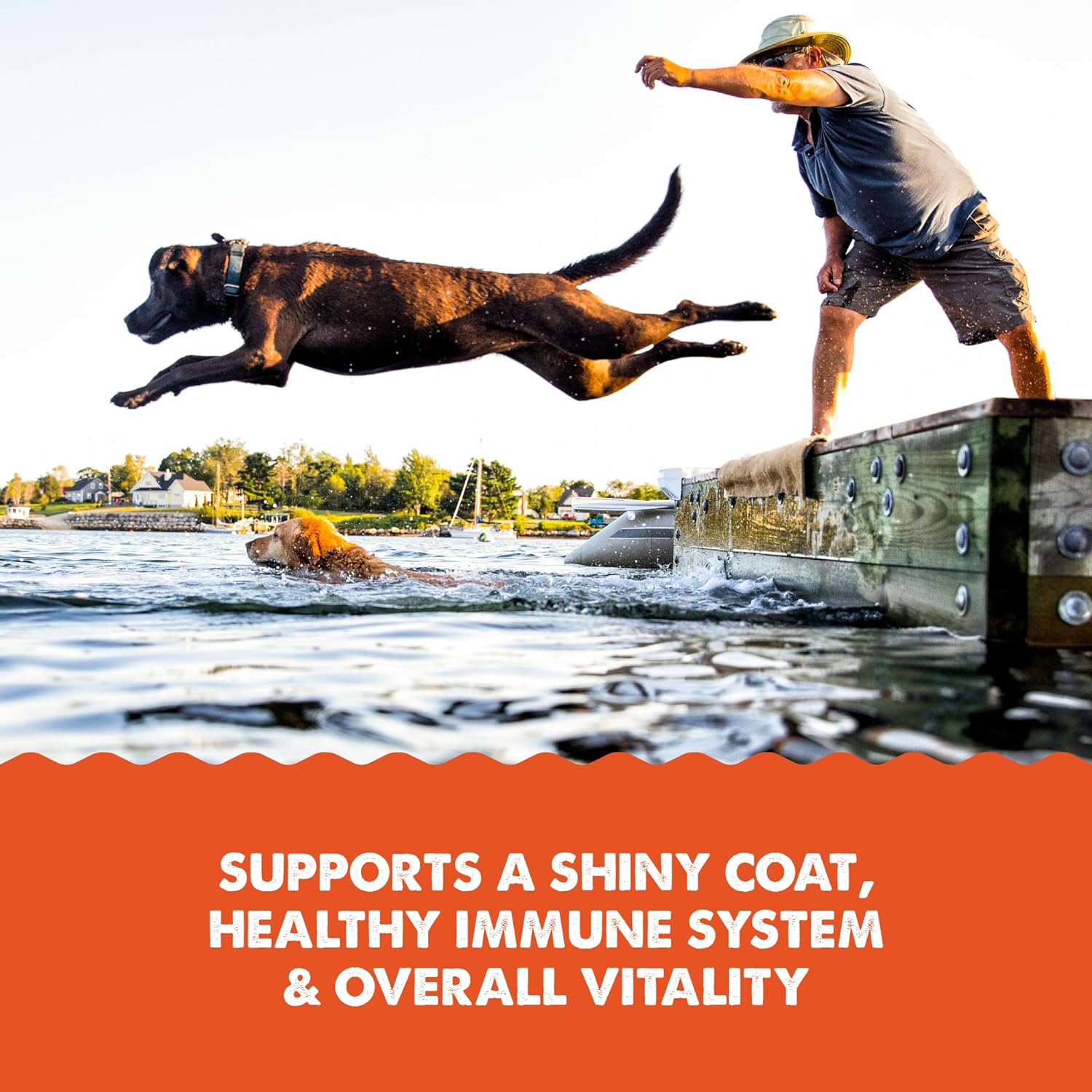 Grizzly Wild Alaskan Salmon Oil Dog Food Supplement Omega 3 Fatty Acids, 8 oz : Pet Fish Oil Nutritional Supplements : Pet Supplies