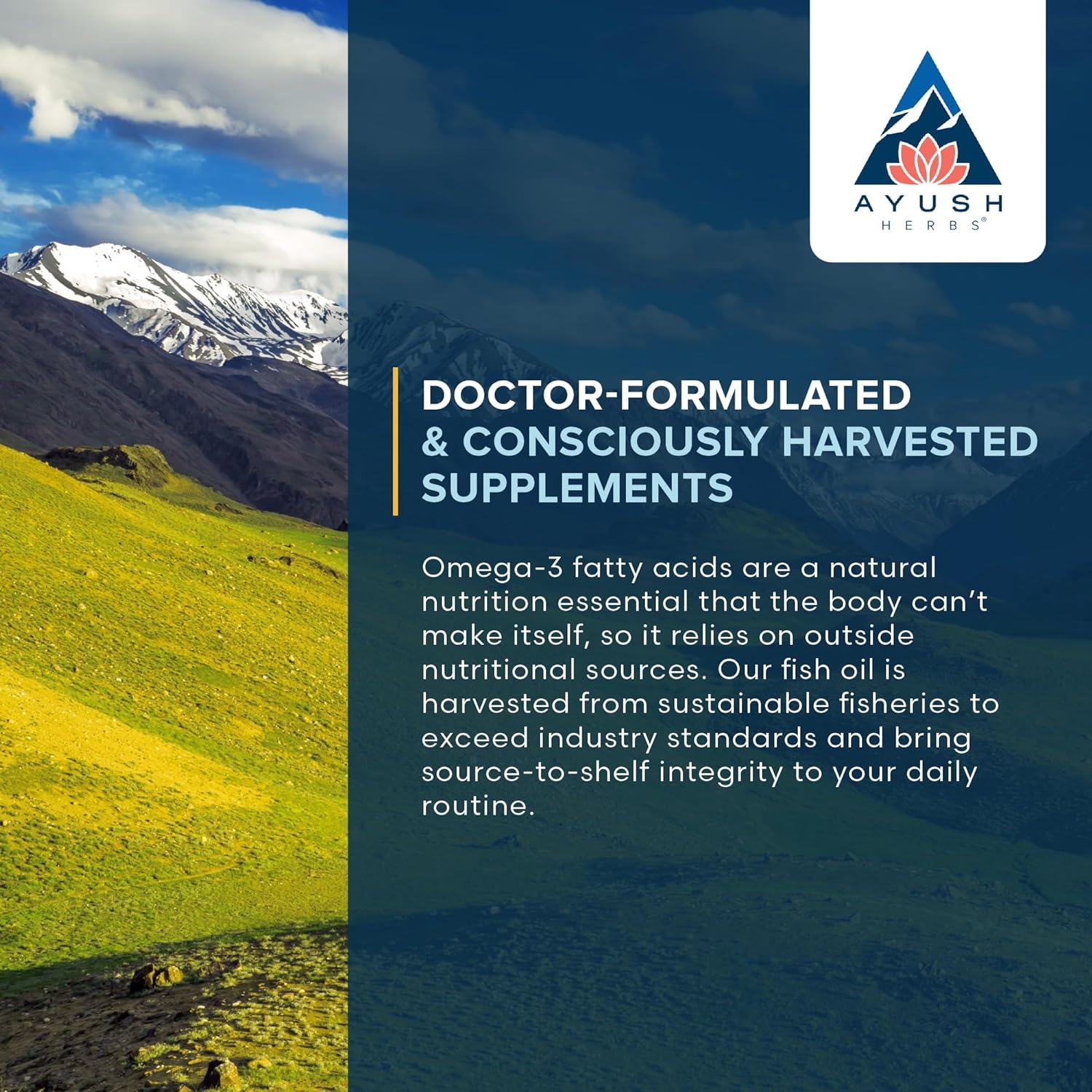 Ayush Herbs High Omega-3, High-Potency Fish Oil Supplement, Immune and Brain Support Supplement, 60 Softgels : Health & Household