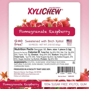 Xylichew 100% Xylitol Chewing Gum - Non Gmo, Non Aspartame, Gluten Free, And Sugar Free Gum - Natural Oral Care, Relieves Bad Breath And Dry Mouth - Peppermint, 288 Count