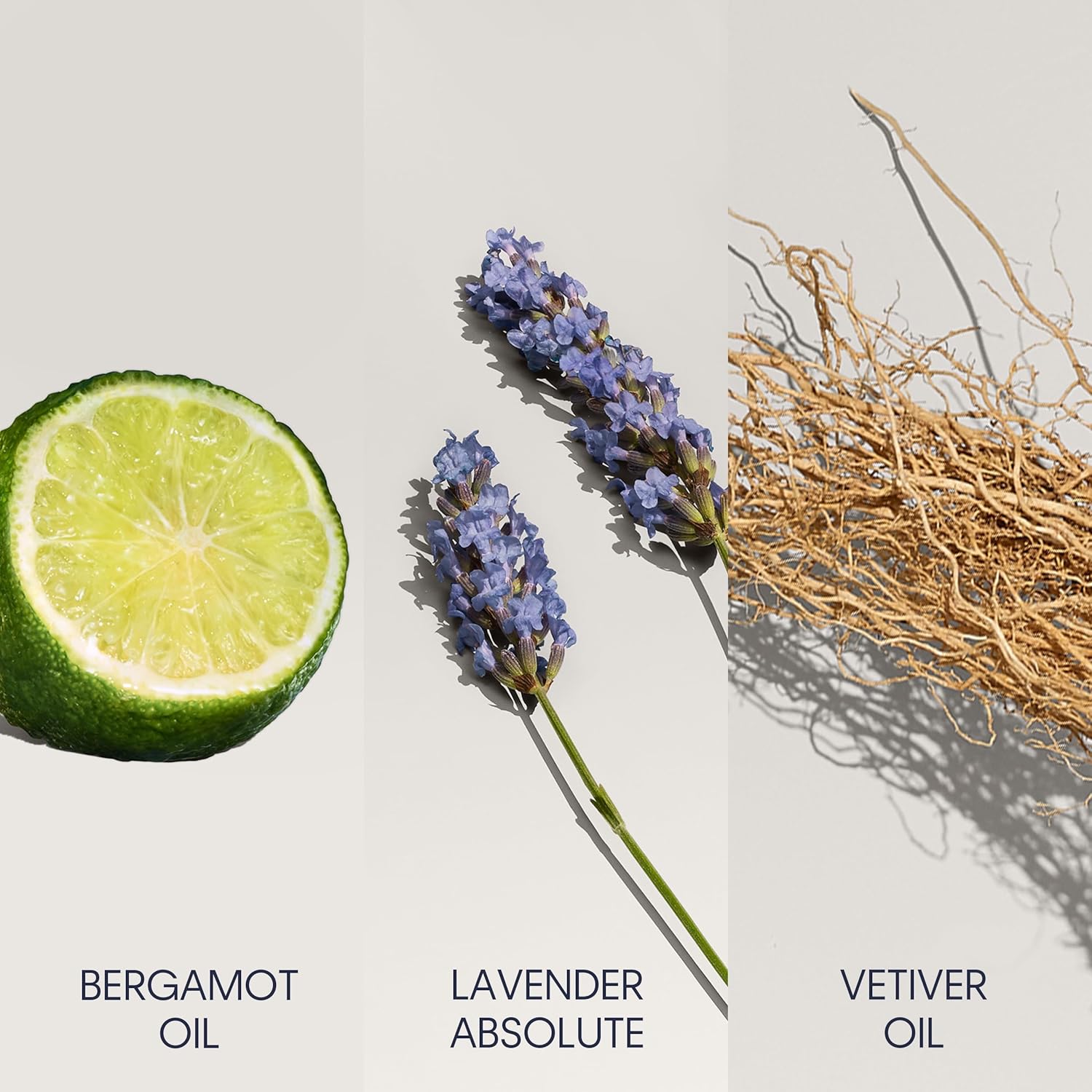 Calvin Klein Ck Defy Eau De Toilette 1 Fl Oz : Beauty & Personal Care