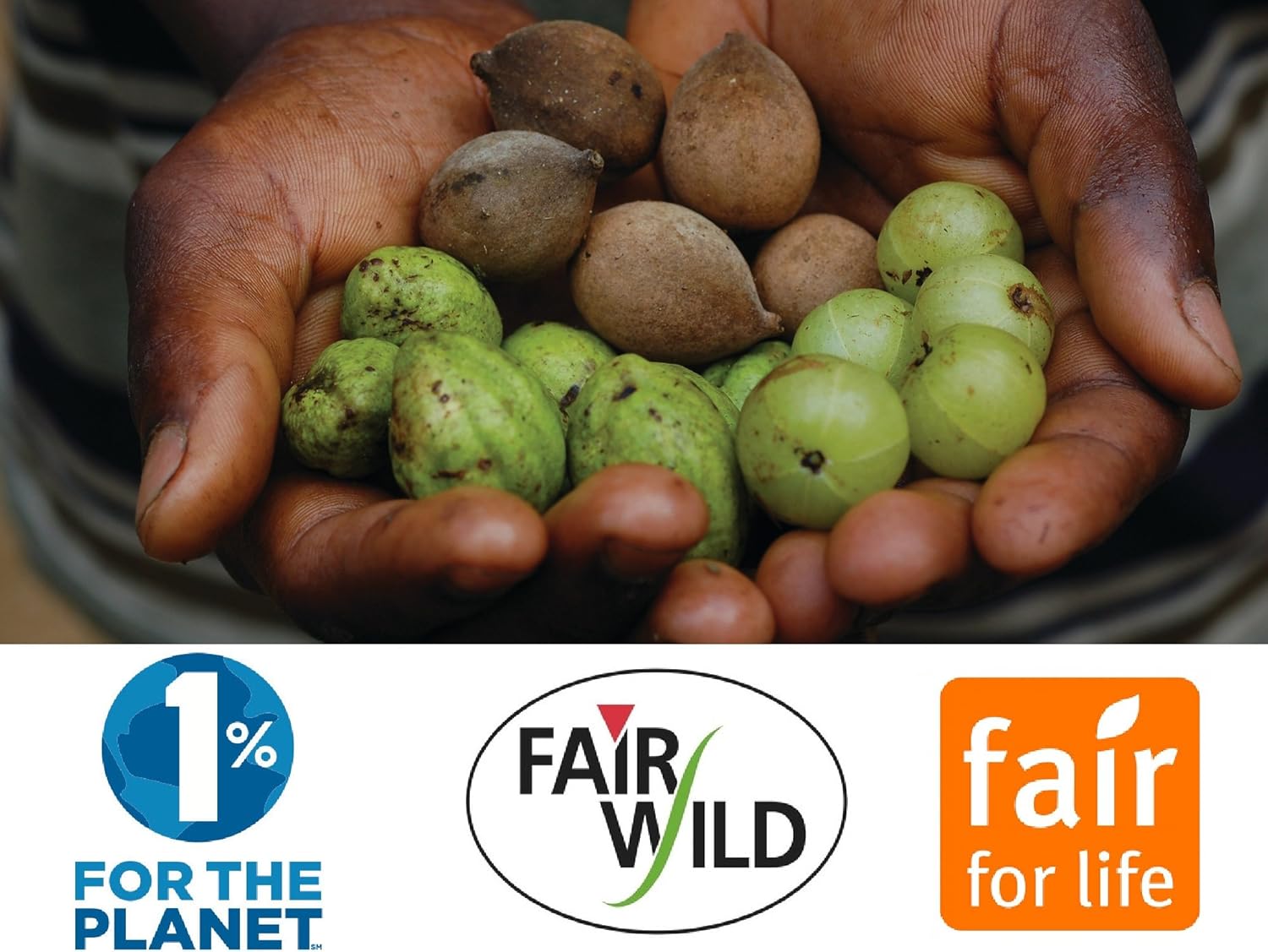 Pukka (Packer) Selection Box Organic Herbal Tea 20Tb