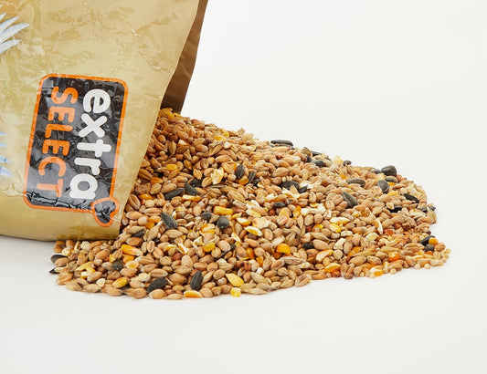 Extra Select Wild Bird Seed Mix With Black Sunflower Seeds, Wheat, Dari, Millet Seeds - Nutrient Rich Wild Bird Food For Small Birds - 1Kg01Wbsm1