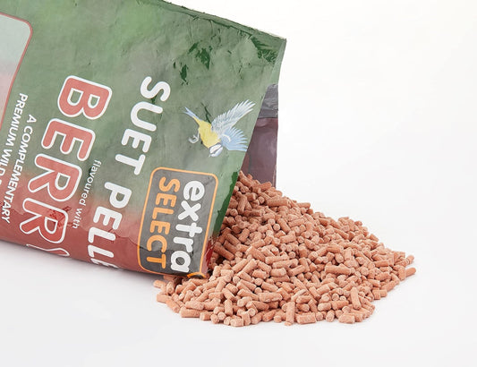 Extra Select Berry High Energy Suet Pellets Wild Bird Food - Protein, Fat Rich Year-Round Feeding - 3 Kg Refill08Wb131