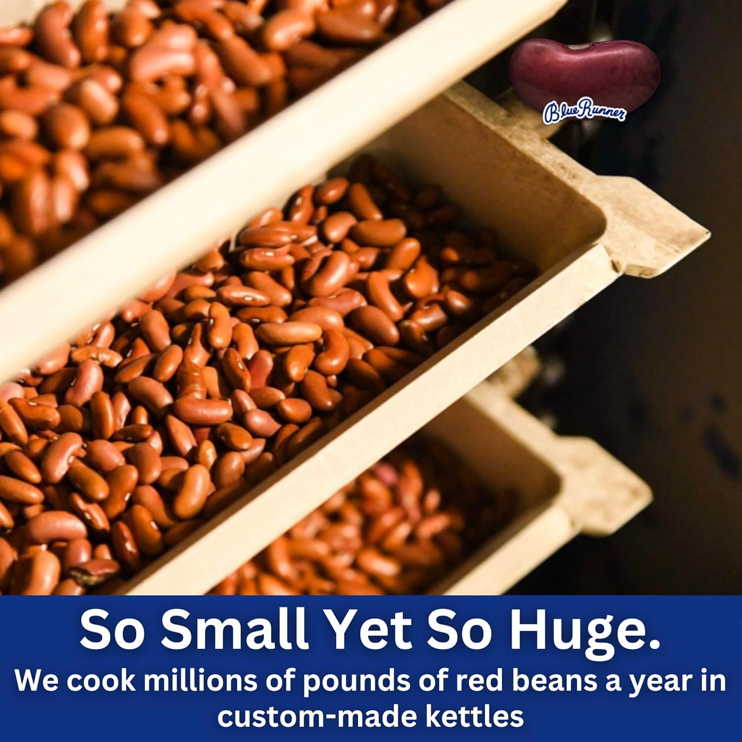 Blue Runner Creole Cream Style Red Beans 27Oz Can : Grocery & Gourmet Food