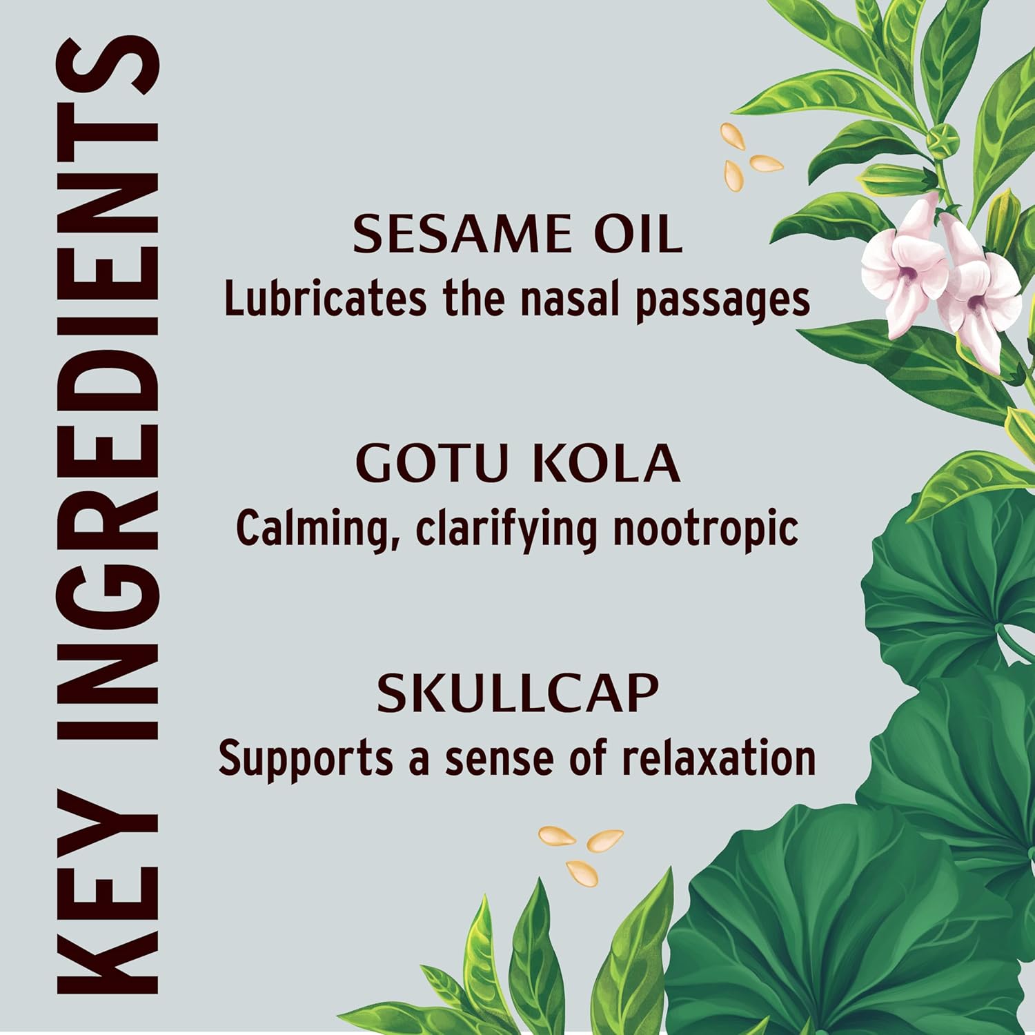 Banyan Botanicals Nasya Oil – Organic Herbal Nasal Drops For Clear Breathing – Ayurvedic Nasal Cleaner And Nose Moisturizer* – One Fluid Ounce – Certified Organic, Non Gmo, Chemical Free : Health & Household