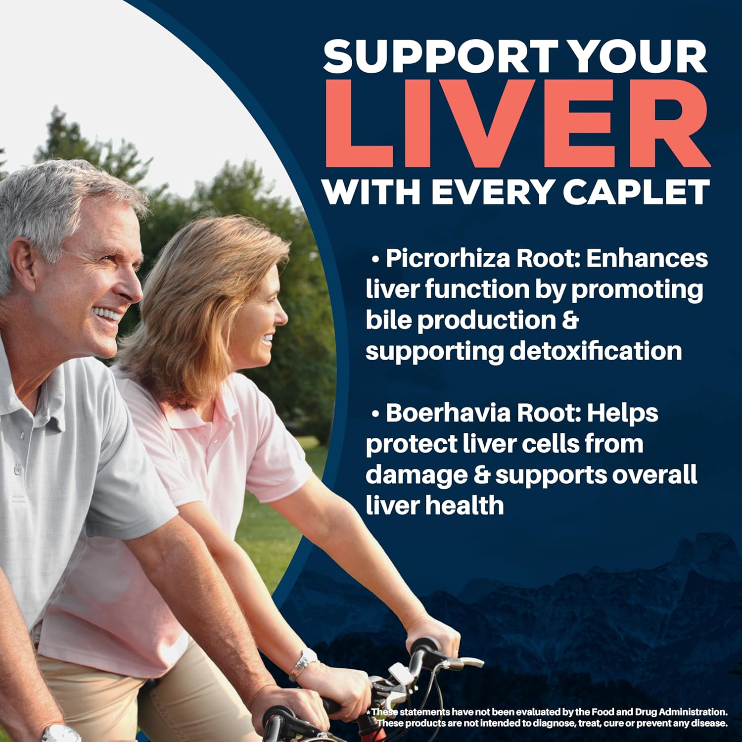 Ayush Herbs Livit-2 - Liver Care, Liver Support Supplement For Women & Men With Andrographis & Picrorhiza, Liver Pills Made With Organic Ingredients - 90 Vegetarian Tablets (1 Count) : Health & Household