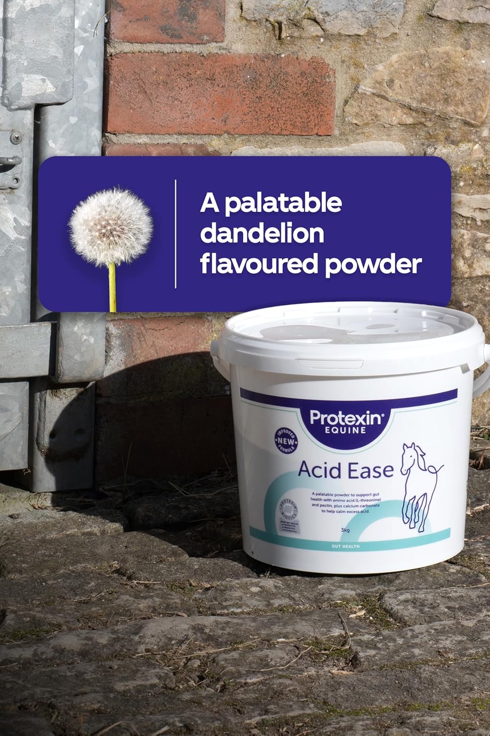 Protexin Equine Premium Acid Ease, 3 Kg, FE1016 : Amazon.co.uk: Pet Supplies