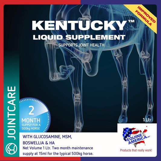 Equine America (1 Litre) Kentucky Liquid Premium Horse Supplement For Joints & Mobility. Includes Glucosamine, Collagen, And Hyaluronic Acid. Ready To Use Horse & Pony Supplement
