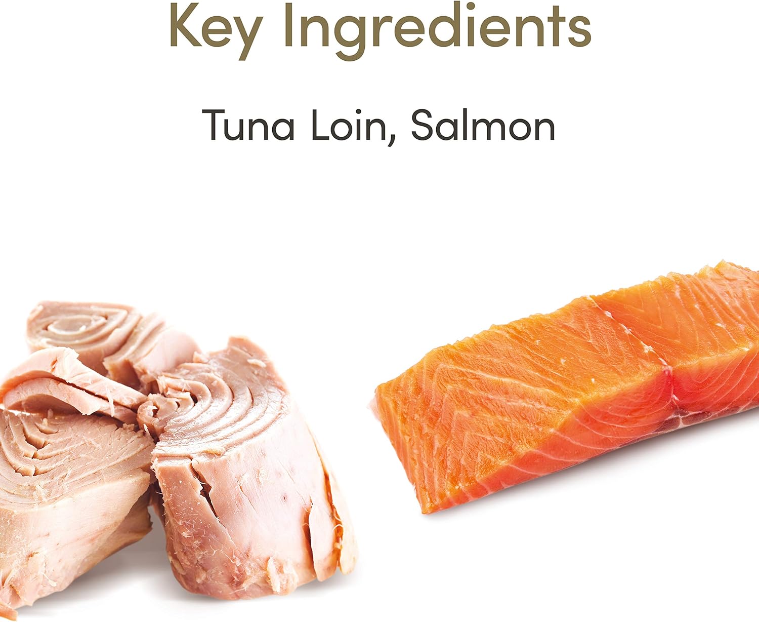 Applaws Natural Senior Wet Cat Food,Tuna with Salmon in a Soft Mousse Jelly 70g Tin (Pack of 24 x 70g Tins) :Automotive