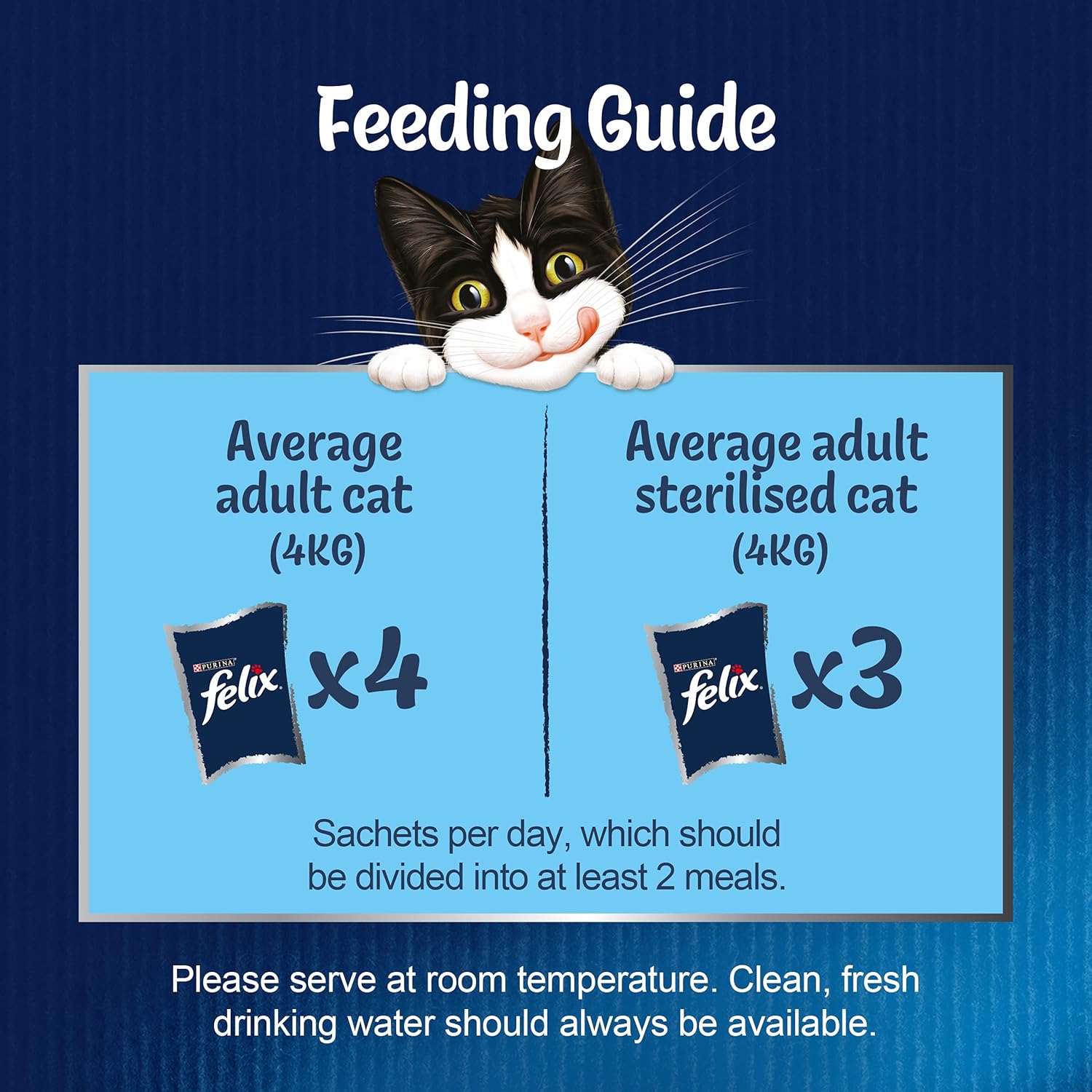 Felix As Good As It Looks Kitten Wet Cat Food Chicken in Jelly 20 x 100g Pouches :Pet Supplies