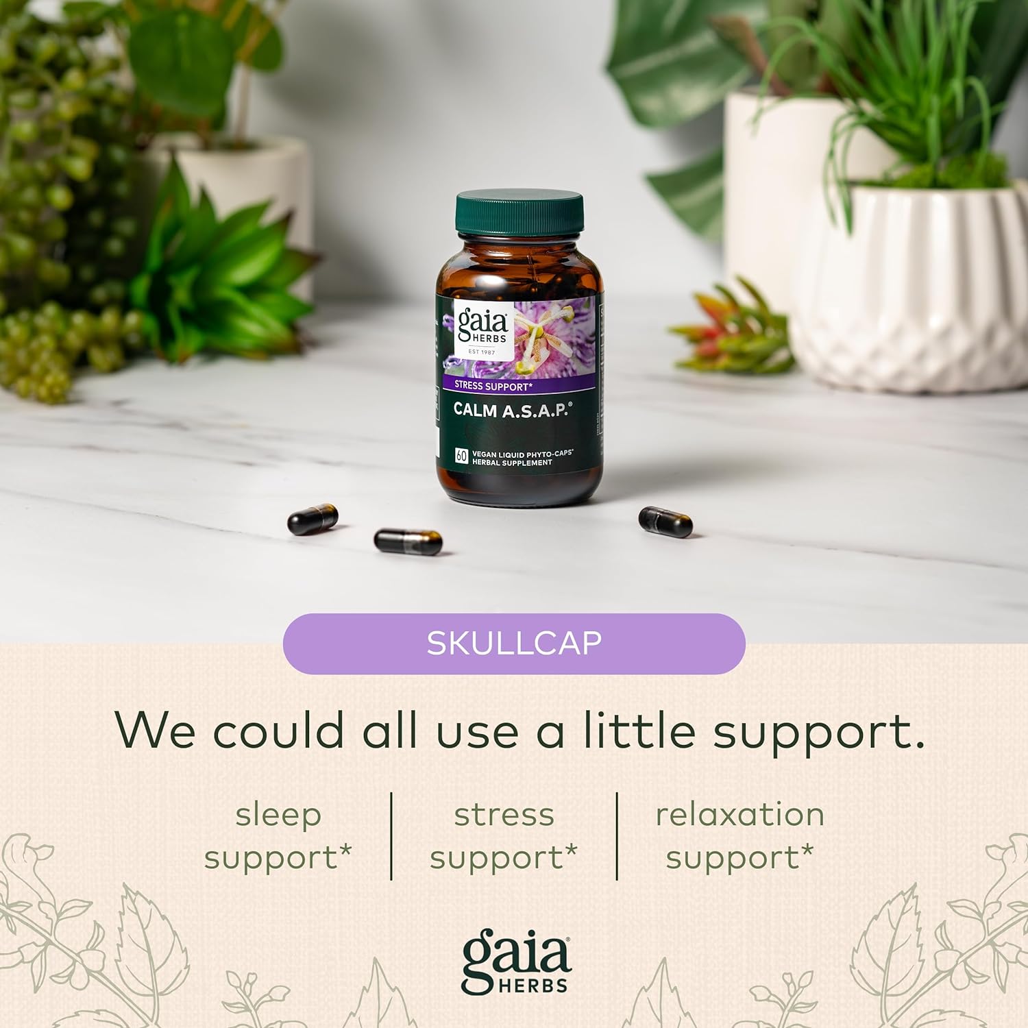 Gaia Herbs Calm A.S.A.P. Stress Support Supplement - with Skullcap, Passionflower, Chamomile, Vervain, Holy Basil & More to Support a Natural Calm - 60 Vegan Liquid Phyto-Capsules (20-Day Supply) : Health & Household