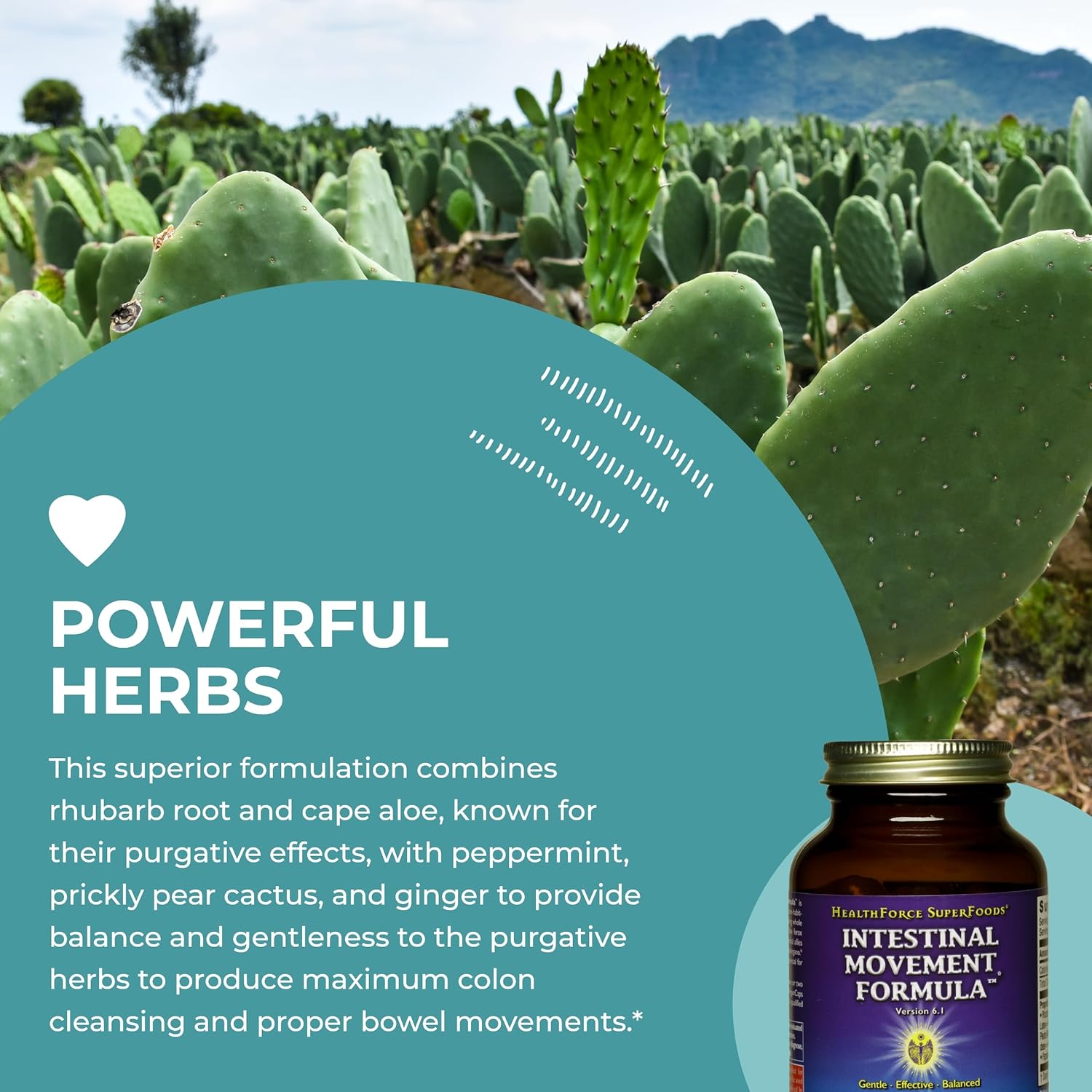 Healthforce Superfoods Intestinal Movement Formula - Natural Laxative Supports Bowel Regularity - All-Natural Digestion Supplement To Support Constipation - Gluten-Free & Vegan - 120 Capsules : Health & Household