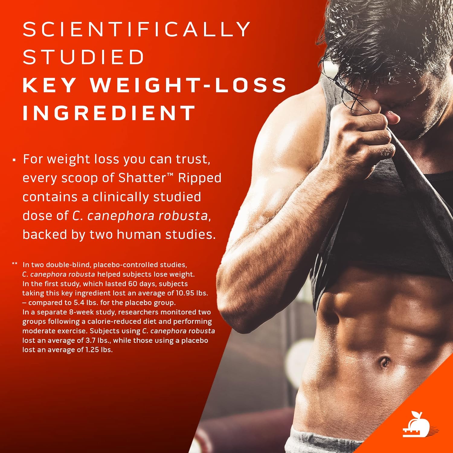 Pre Workout + Weight Loss MuscleTech Shatter Ripped Pre-Workout Pre Wo