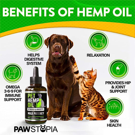 (2 Pack) Hemp Oil For Dogs And Cats - Helps Pets With Anxiety, Pain, Stress, Sleep, Arthritis, Seizures Relief - Cat Anxiety Relief - Omega 3-6-9 - Pet Hemp Oil Drops Treats - Hip And Joint Support
