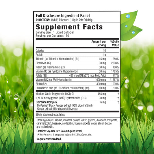 Mega Vitamin B Complex 60 Sgels