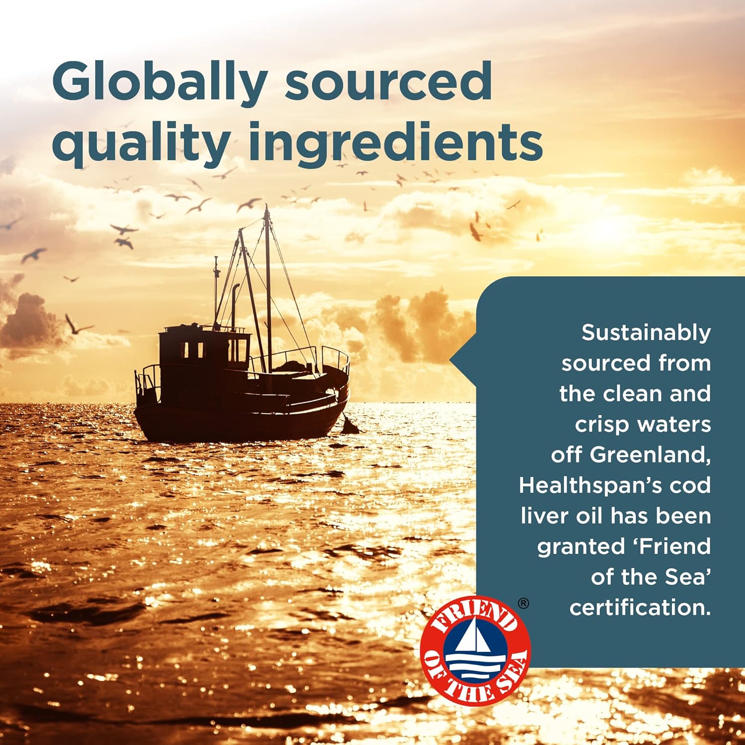 Healthspan Super Strength Cod Liver Oil 1,200mg (120 Capsules) | Supports Heart, Brain & Eye Health | Added Vitamin A, D3 and Calcium | Rich in Omega-3 Fatty Acids DHA & EPA | Sustainably Sourced : Amazon.co.uk: Health & Personal Care