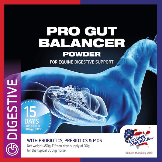 Equine America Pro Gut Balancer | Premium Ready To Use Horse & Pony Supplement | Support For Digestive Function & Performance | 450G
