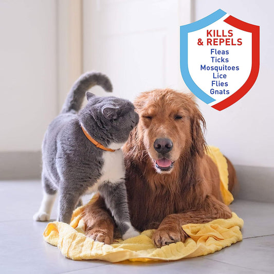 Adams Plus Pyrethrin Dip For Dogs And Cats | Kills And Repels Fleas, Ticks, Lice, Gnats, Mosquitoes And Flies | 4 Fl Oz