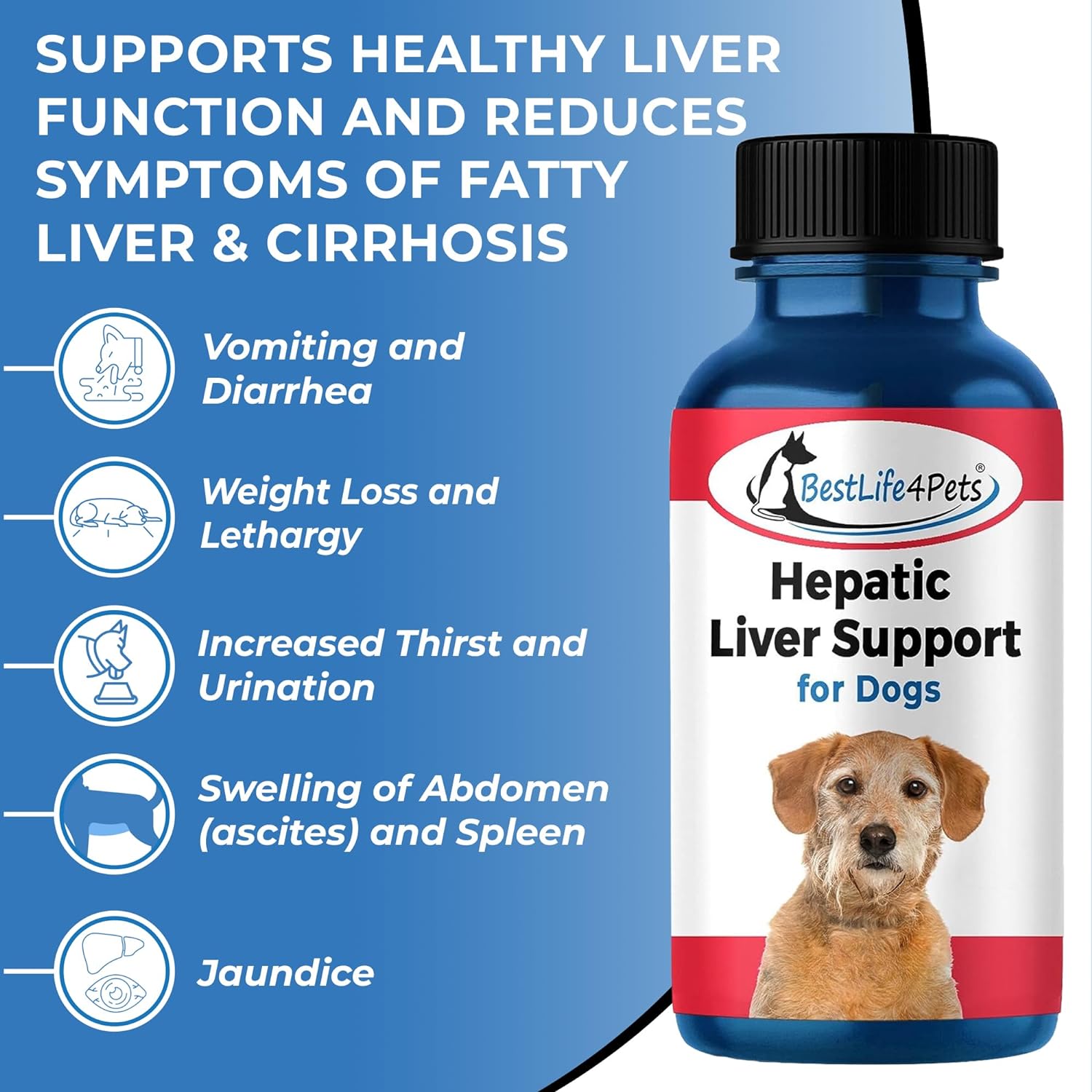 BestLife4Pets Hepatic Dog Liver Support - Dissolvable Homeopathic Liver and Digestive Canine Supplement for Liver Detox and Nutrient Absorption - 100% All Natural - Free of Chemicals or Additives