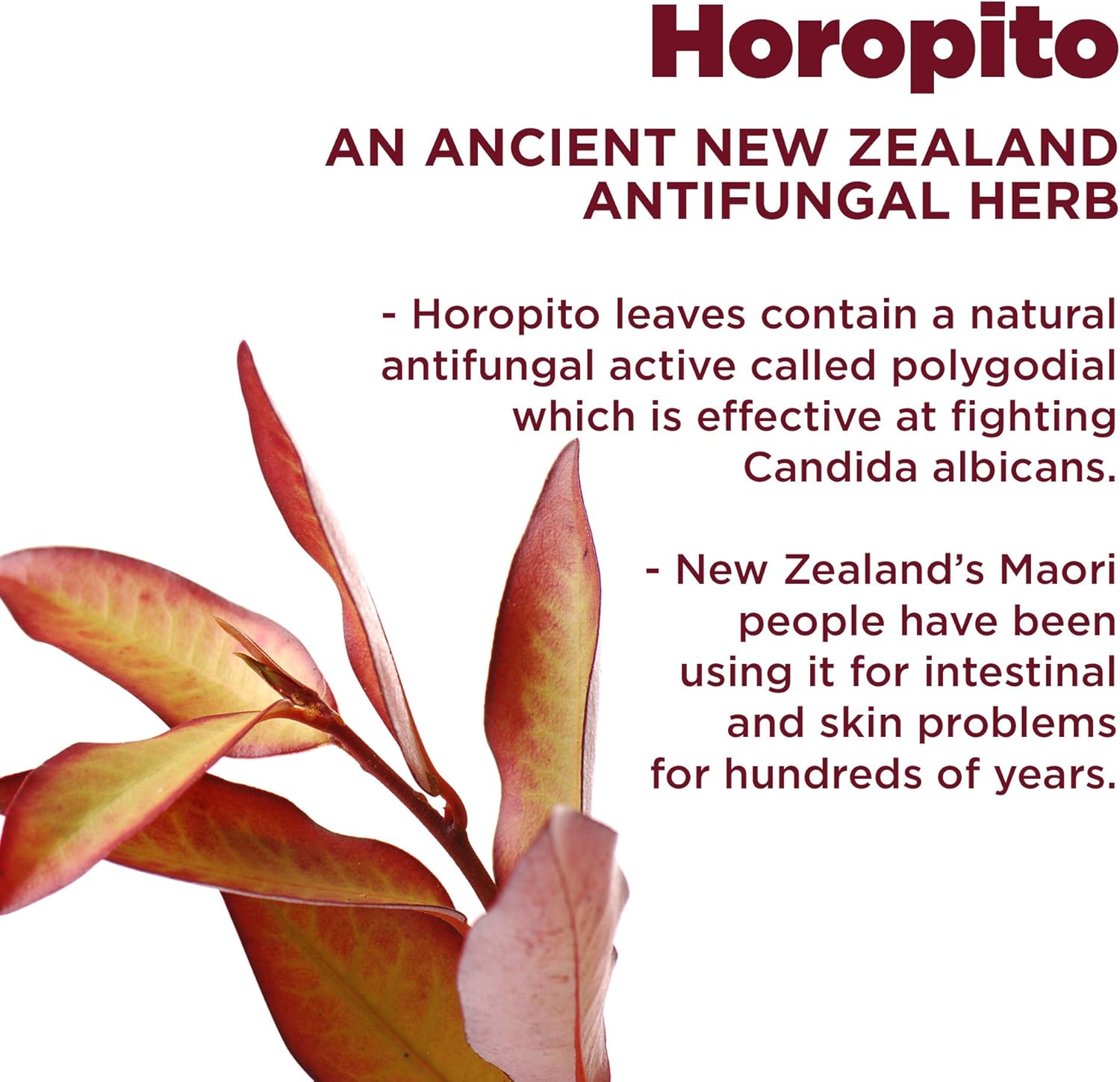 Kolorex® Vaginal Care Wash : Health & Household