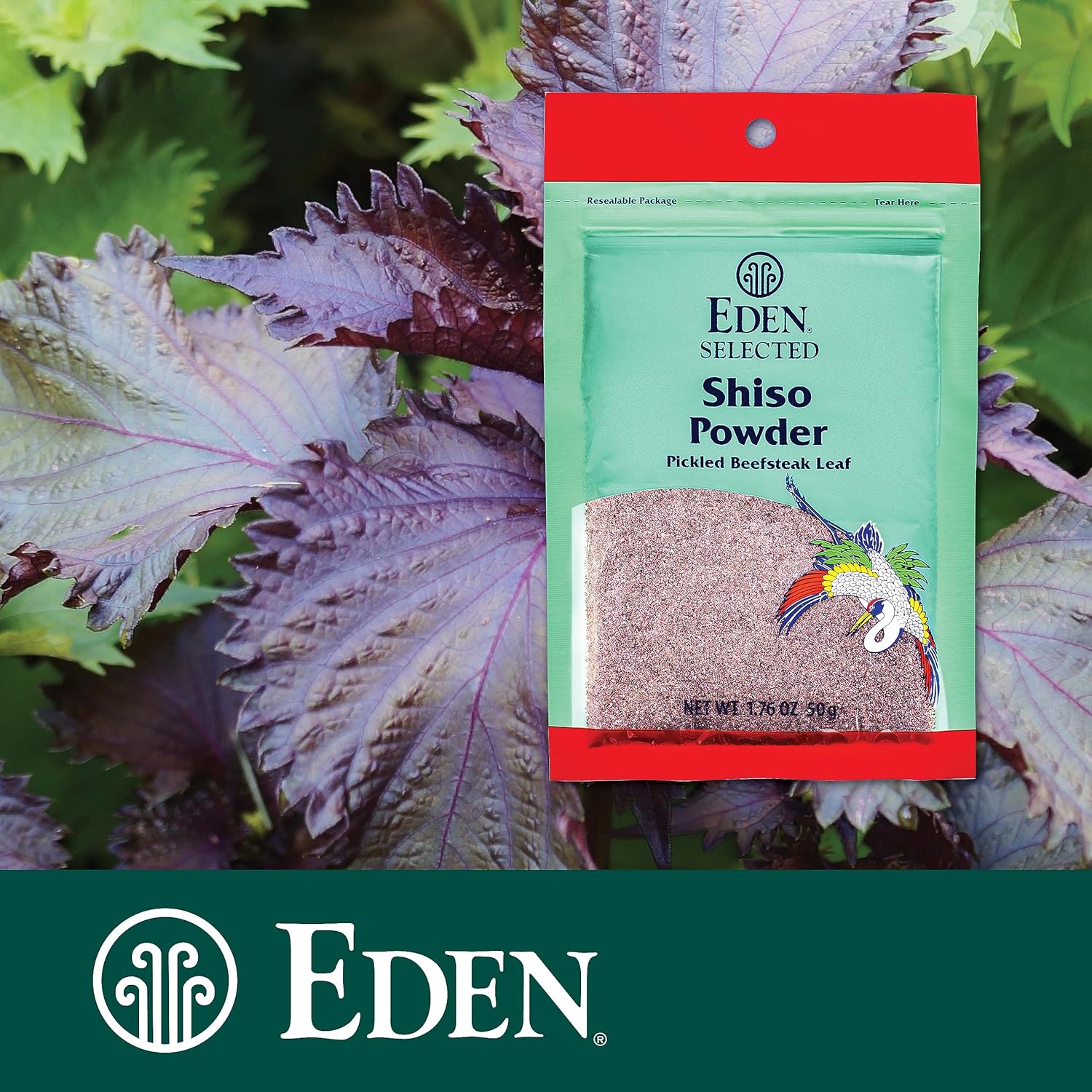 Eden Shiso Leaf Powder, Traditionally Made In Japan, Pickled Beefsteak Leaf, 1.76 Oz : Baby