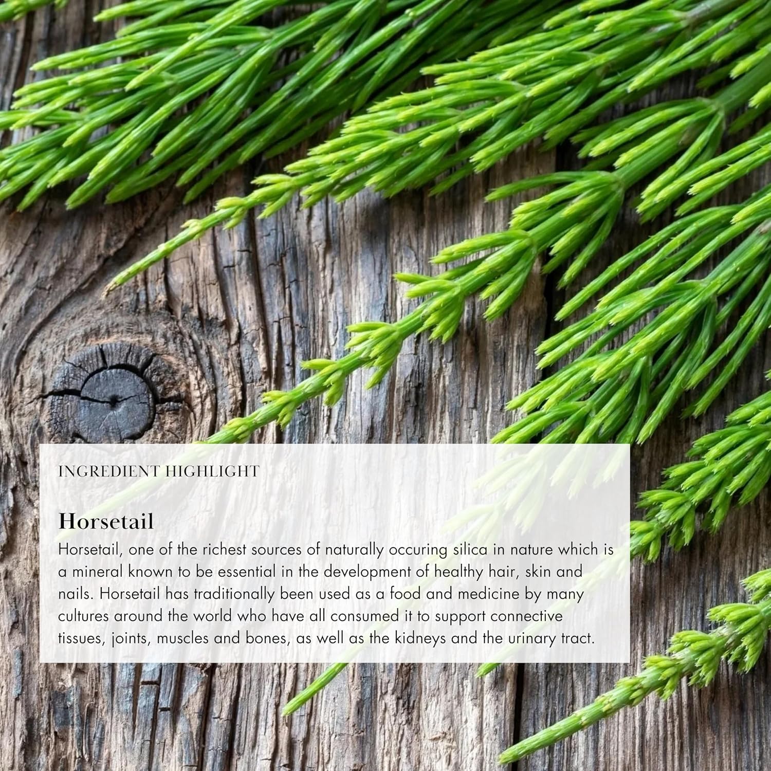 Anima Mundi Apothecary Vegan Collagen Powder - Plant-Based & Organic Collagen Booster - Helps Support Collagen & Keratin Production For Healthy Skin, Hair & Bones (4Oz/113G) : Health & Household