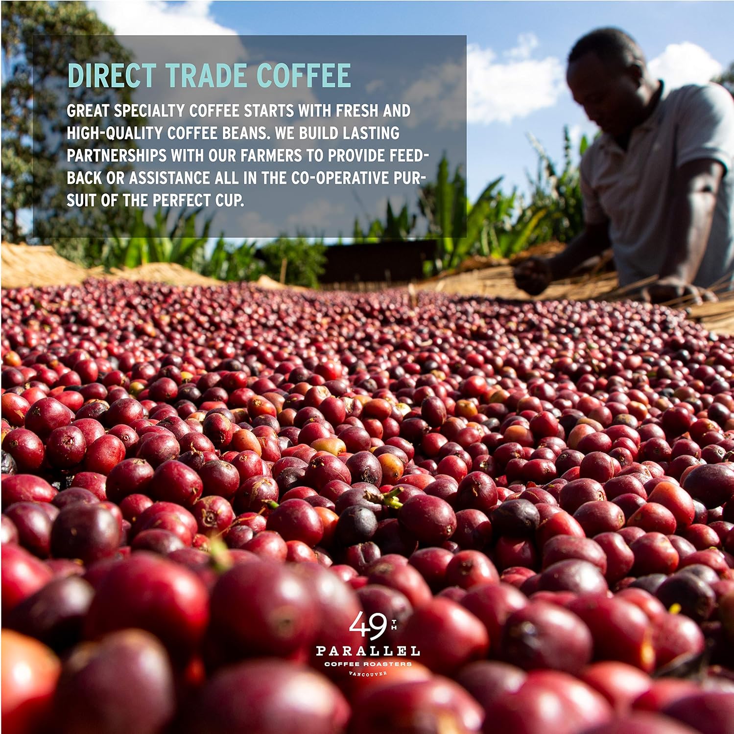 49Th Parallel Coffee Roasters – Epic Espresso Whole Beans – Gourmet Light Roast Coffee, 12Oz