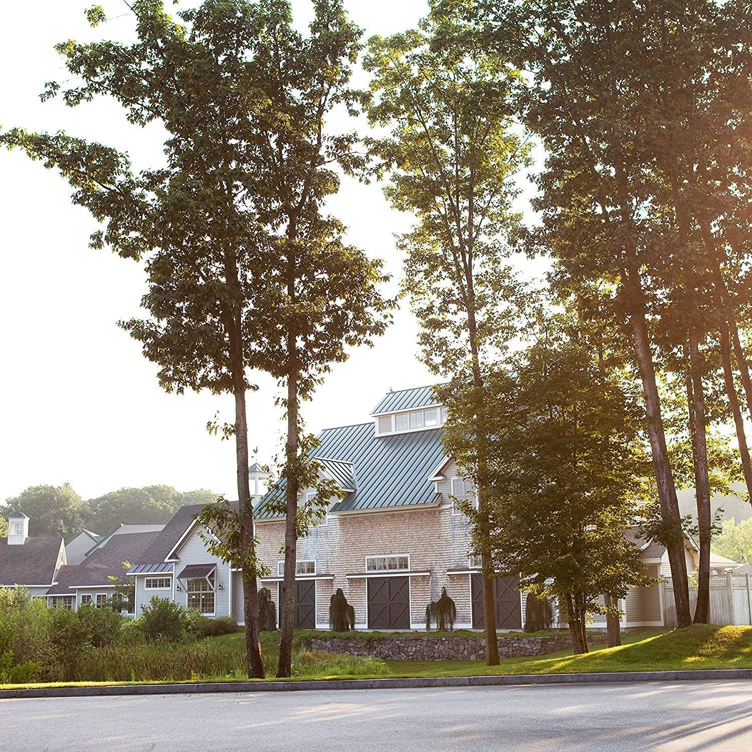 Urban Accents Movie Night Sweet Shoppe Gift Set Collection-Popcorn Seasoning Variety Pack (set of 8) - 3 Non-GMO Popcorn Kernel Packs and 5 Gourmet Popcorn Snack Seasonings