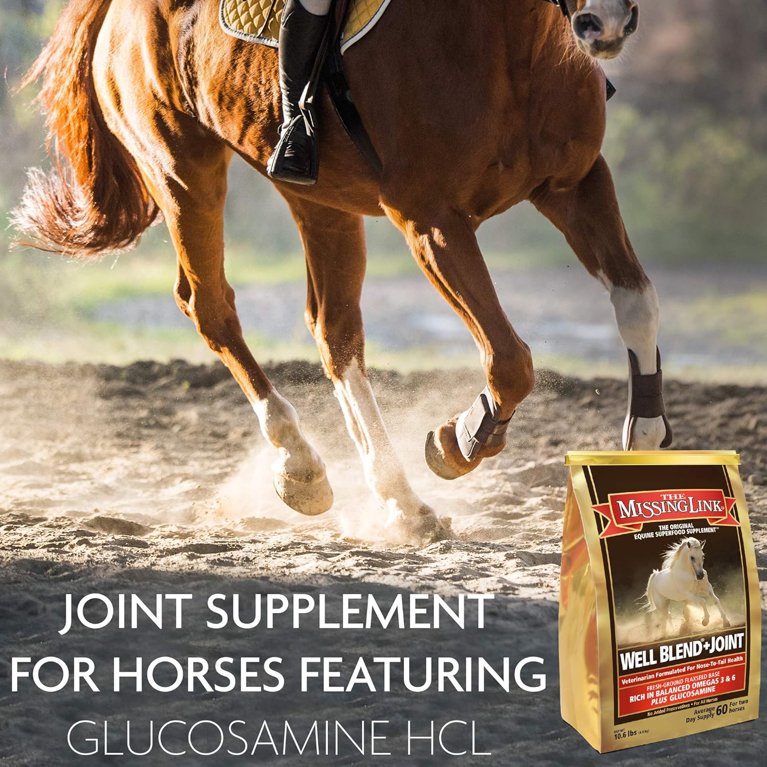 The Missing Link Equine Well Blend + Joint Superfood Supplement Powder, 10.6 lb. Bag / 120 Day Supply : Pet Supplies