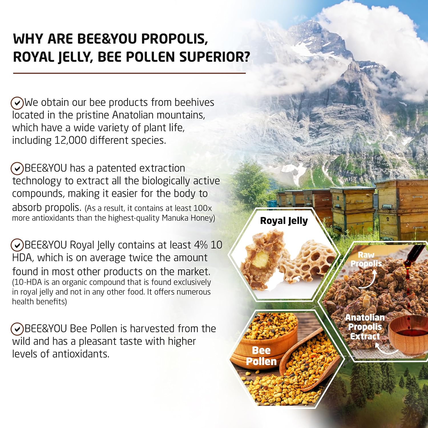 Bee And You Raw Wildflower Honey, 100% Natural, Wildcrafted, Polyflora And Unprocessed, Active Enzymes, Antioxidants, Ou Kosher, Paleo, Gluten-Free, 10.6 Oz : Grocery & Gourmet Food