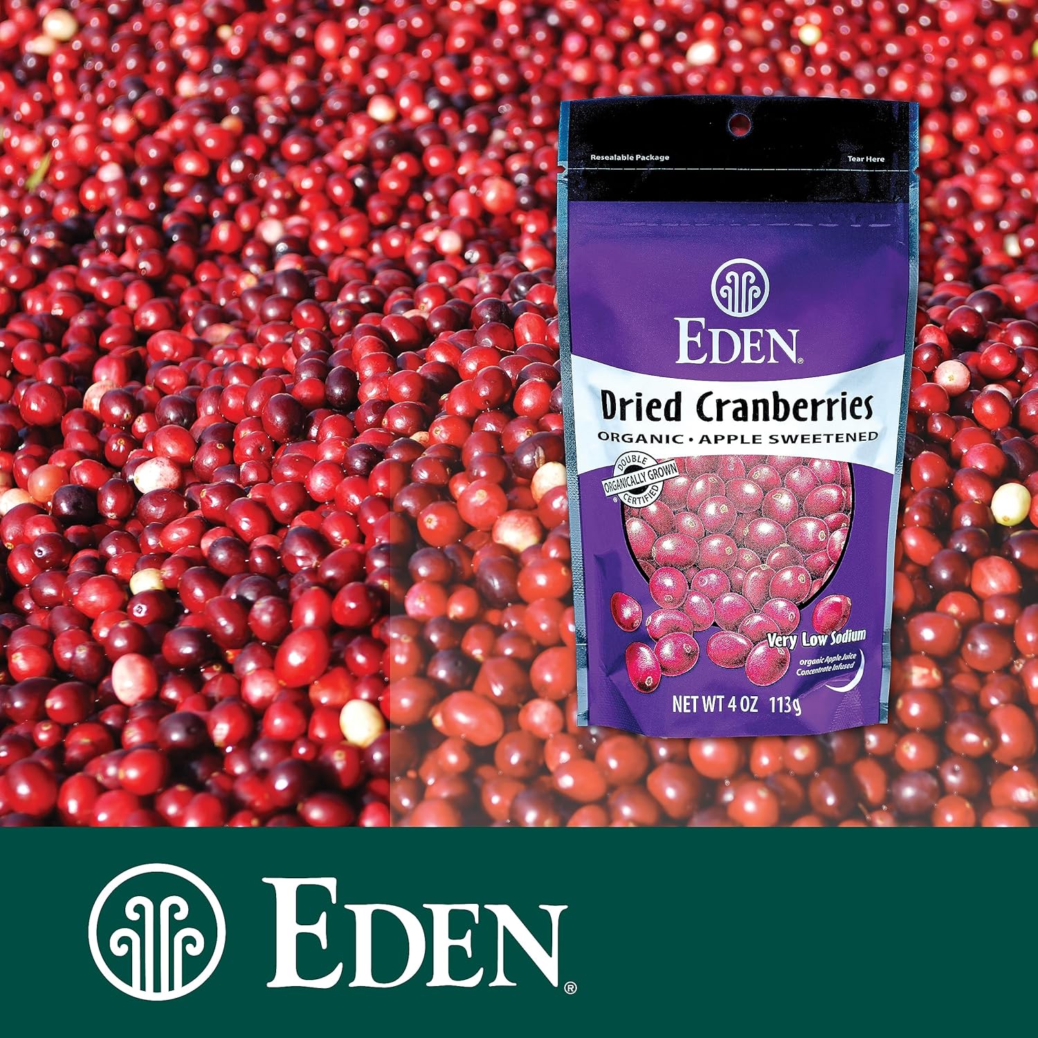 Eden Organic Dried Cranberries, Sweetened With Apple Juice, 4 Oz : Grocery & Gourmet Food