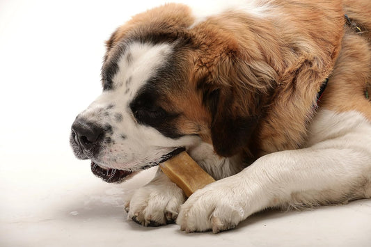 100% Natural Yak Chew (Big Dog (7-8 Oz))