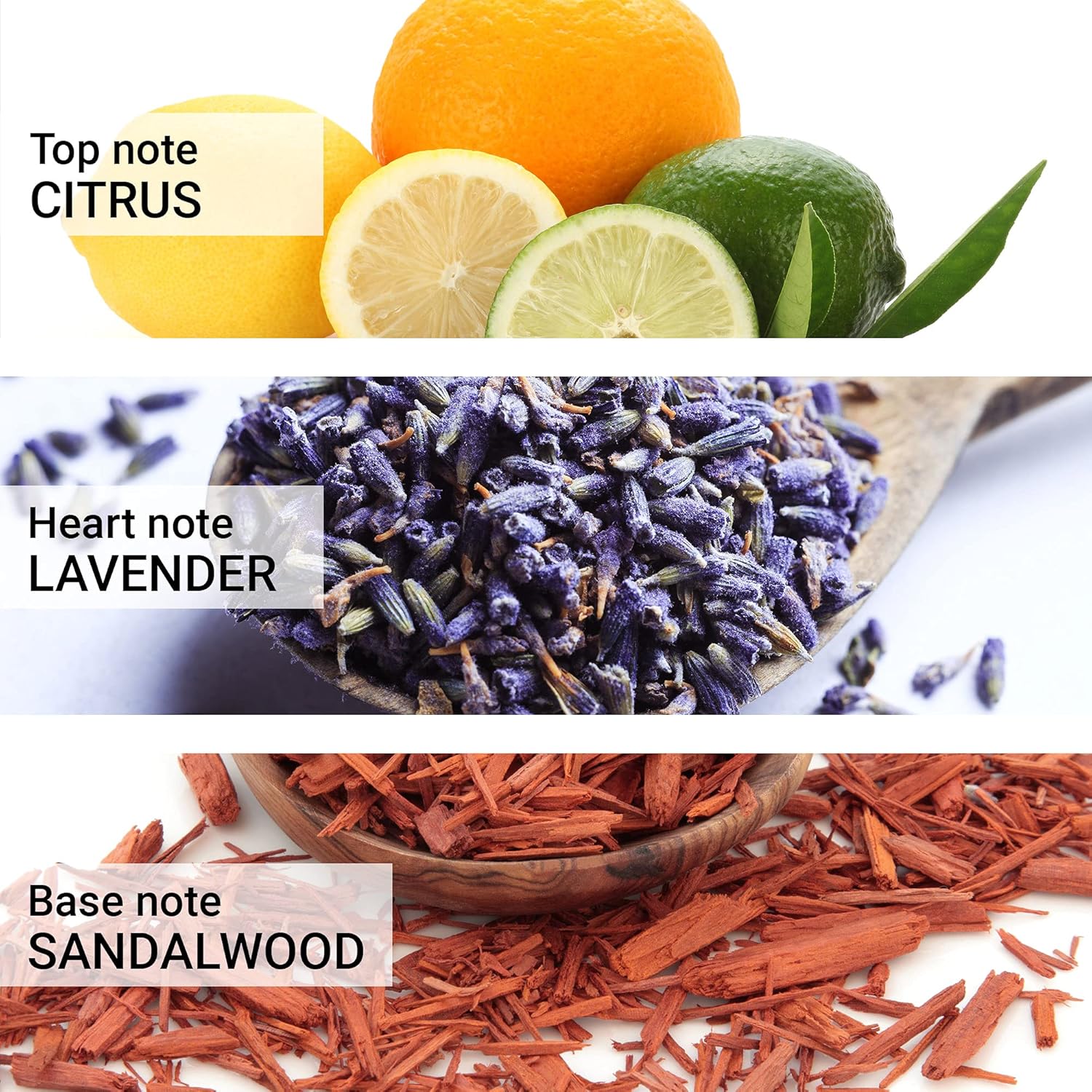 Carrera Jeans Uomo 707 Original Eau De Parfum For Men, 1 Fl Oz : Beauty & Personal Care