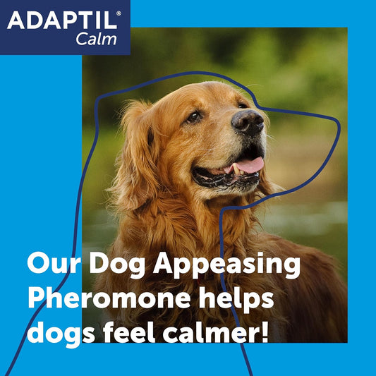 Adaptil Calm Home Diffuser For Dogs With 30 Day Refill, Adaptil Dog Calming Plug In Pheromone Diffuser To Help Reduce Anxiety And Stress In Pet Dogs, Pet Diffuser Helps Anxious Dogs Stay Calmer