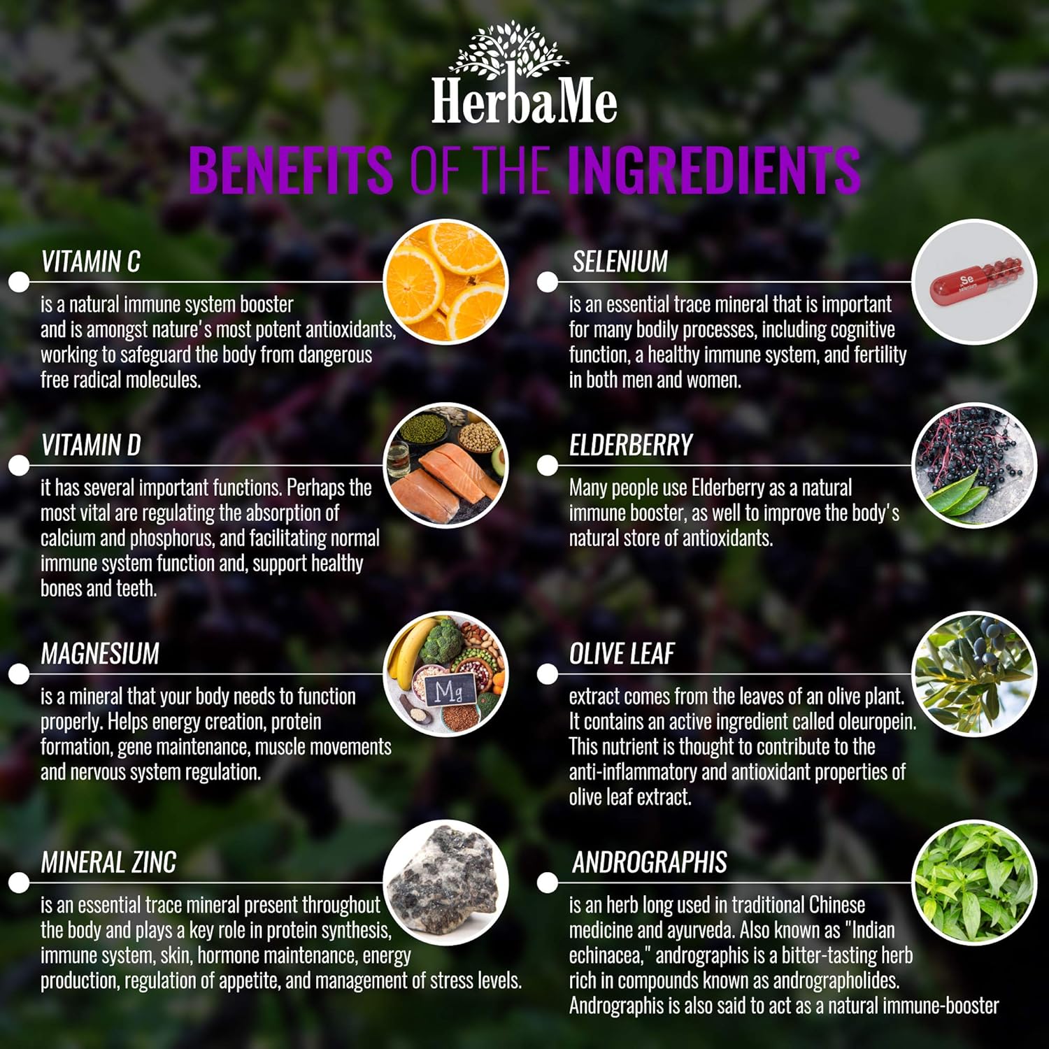 Herbame Advanced Immune System Booster 15 In 1 With Elderberry, Quercetin, Zinc, Vitamin D, 90 Capsules, Support Natural Wellness, Immunity Boost Supplement With Selenium And Vitamin C Antioxidants : Health & Household